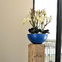 blauwe casacara met orchidee (1 van 1)